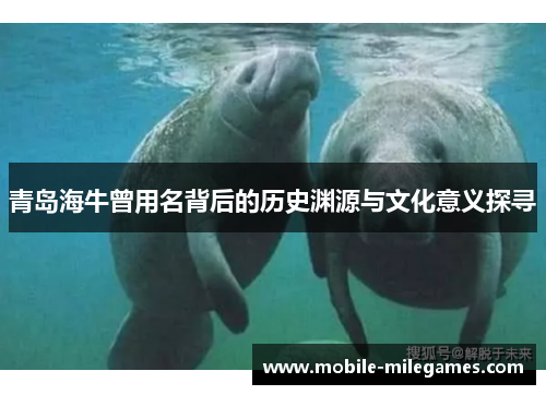 青岛海牛曾用名背后的历史渊源与文化意义探寻
