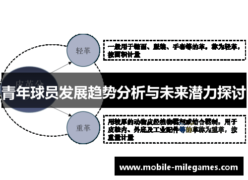 青年球员发展趋势分析与未来潜力探讨